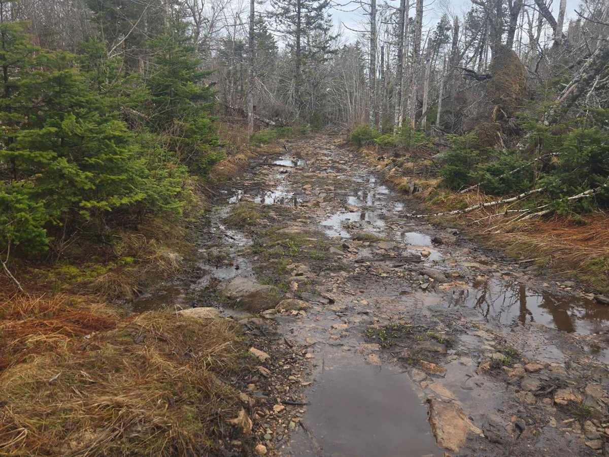 Rocky brook rd photo 6