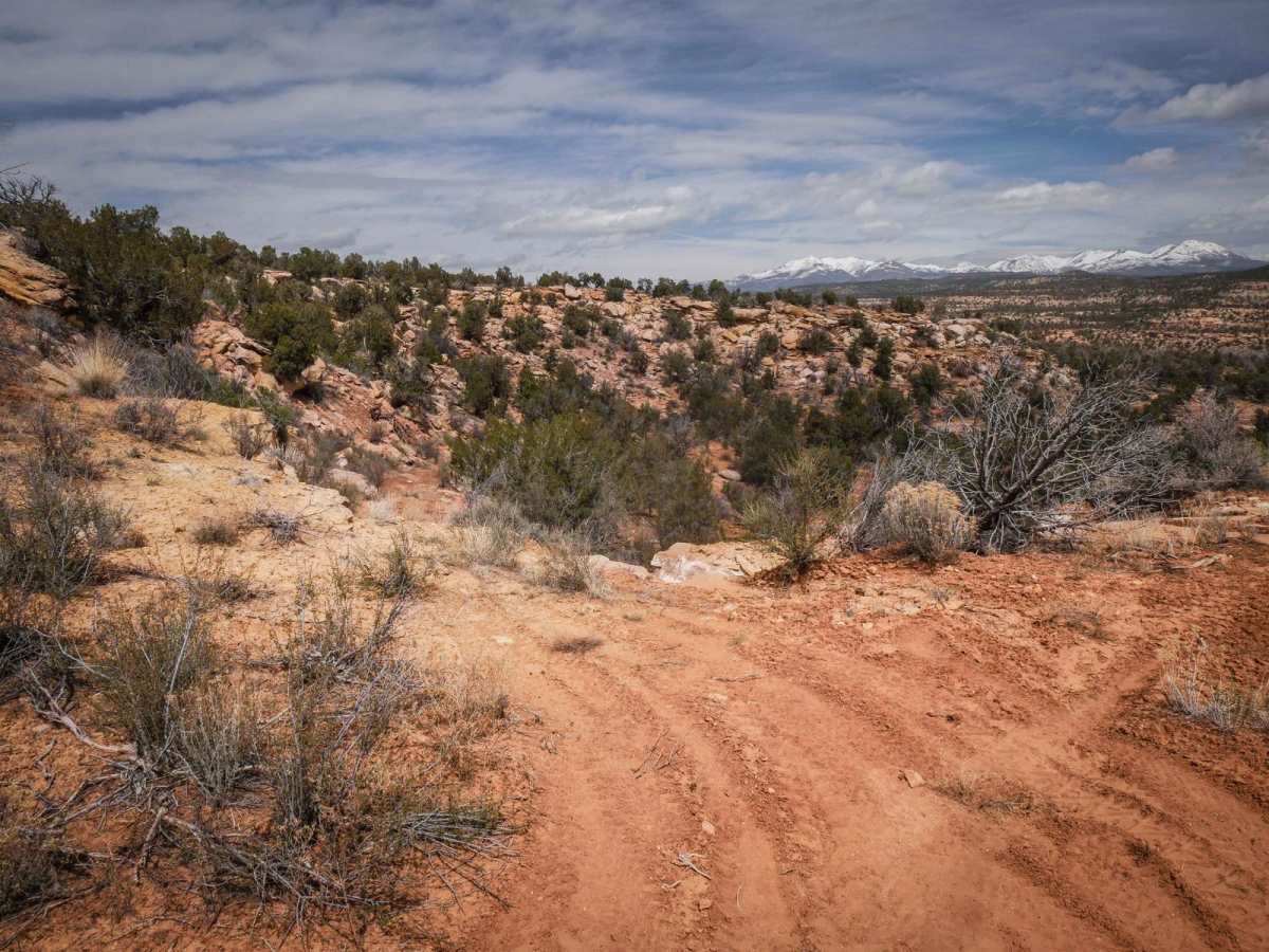 Wild Horse photo 6