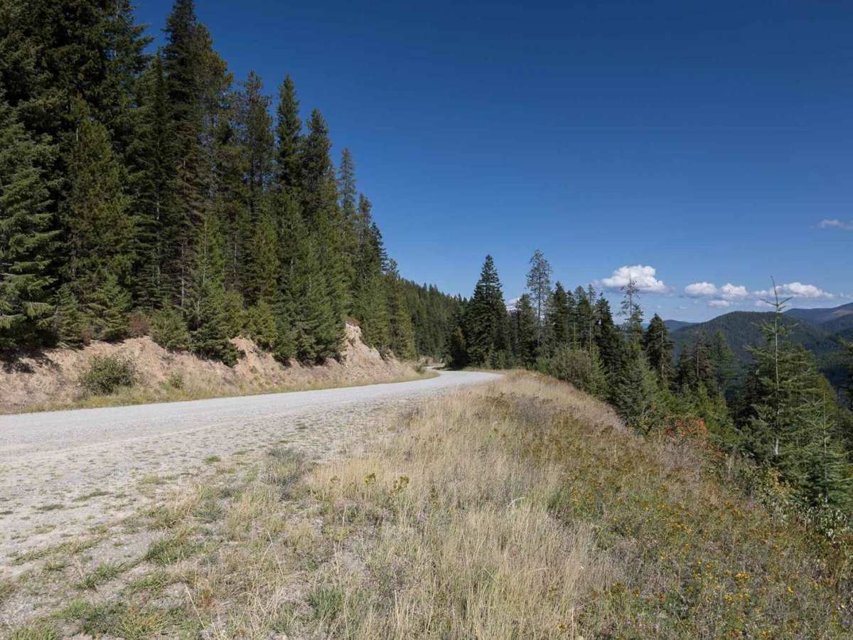 Little Joe Creek FS 282 photo 5