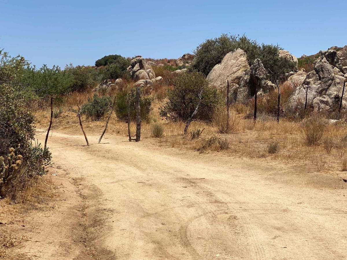 Lasso Loop photo 6