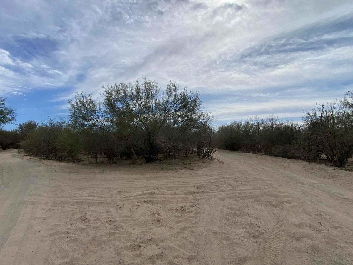 South of Los Planes photo 4