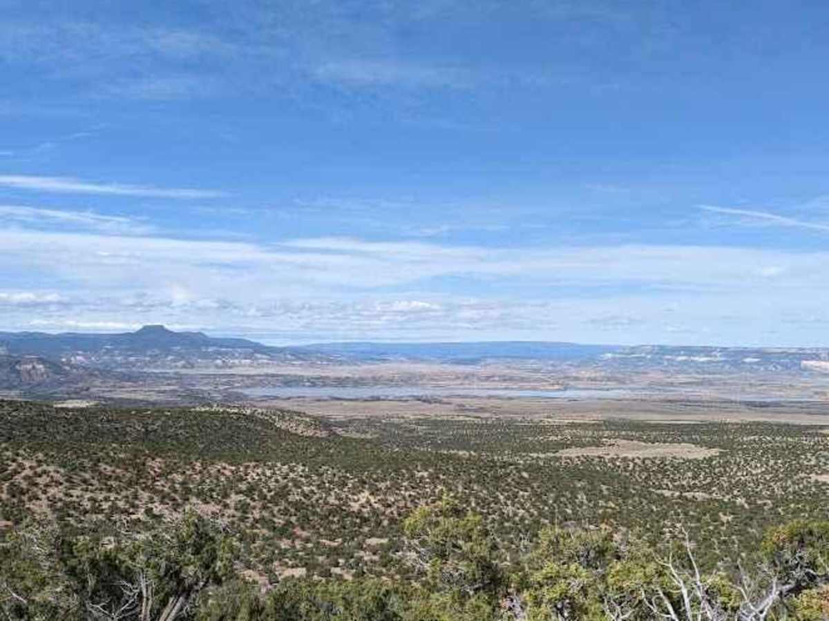 FS 23/FS 137 Abiquiu to El Rito trail photo