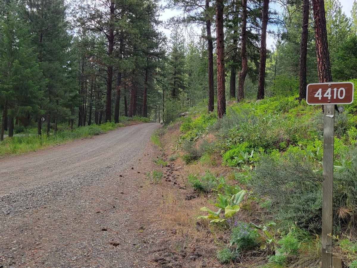 NF 4410 - Thompson Road trail photo