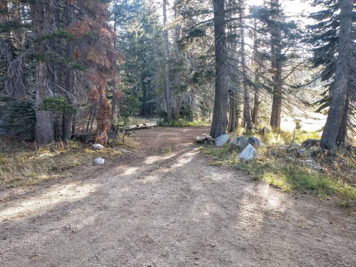 Bear Lake Trail photo 5