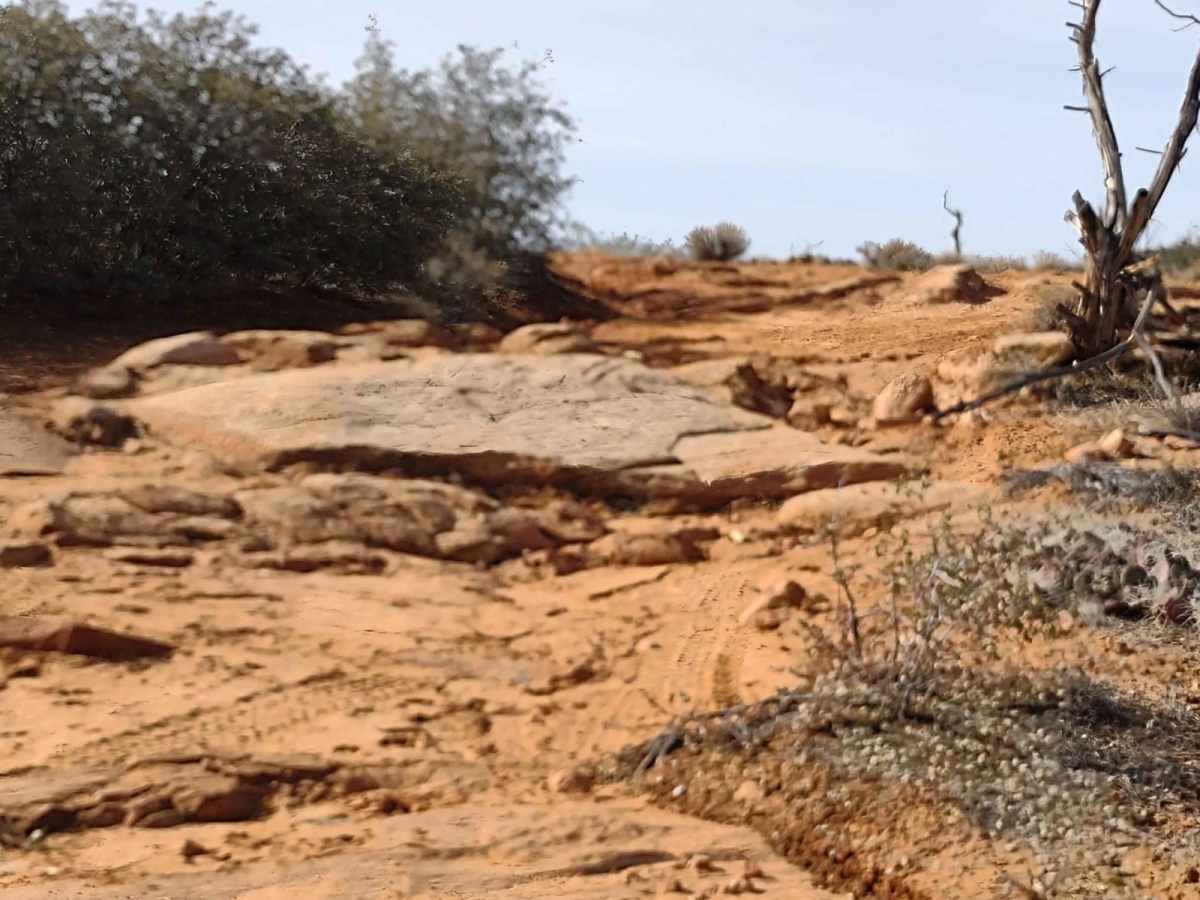 Leeds-Cottonwood Rock Crawling Playground photo 6