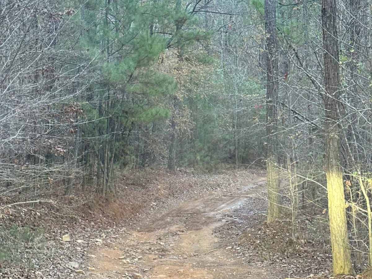 42 trail photo