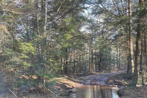 4th Run Trail
