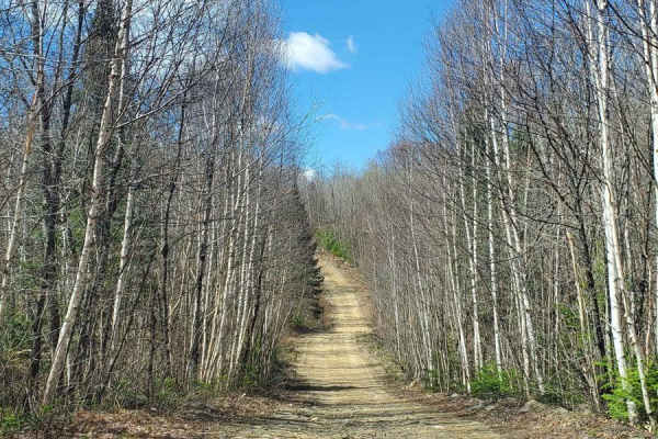 Trail #33