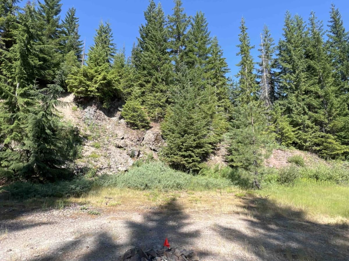 Fisher Point 1164 photo 6