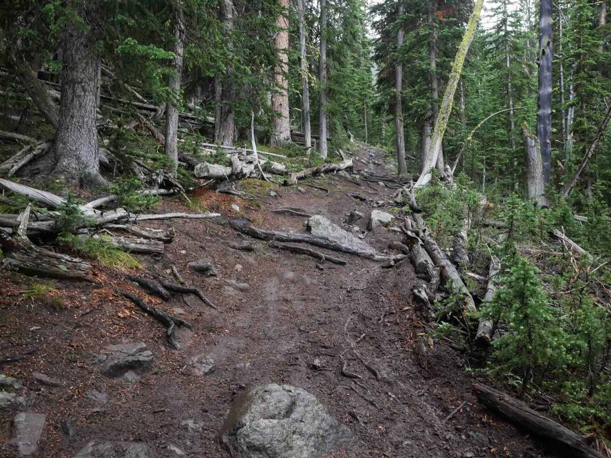 Cabin Creek photo 3