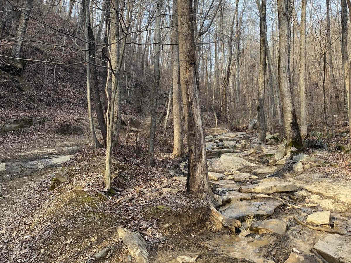 Trail 30 Windrock photo 6