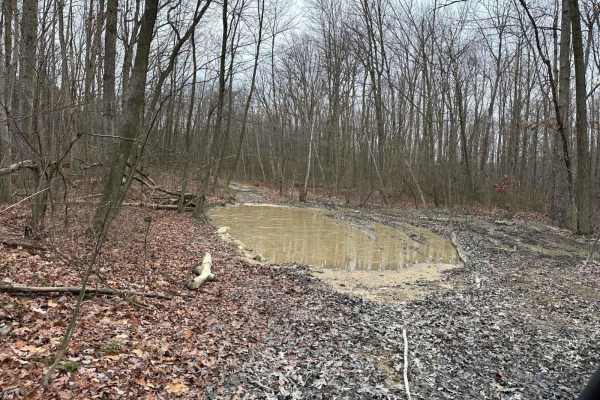 Locust Gap 24