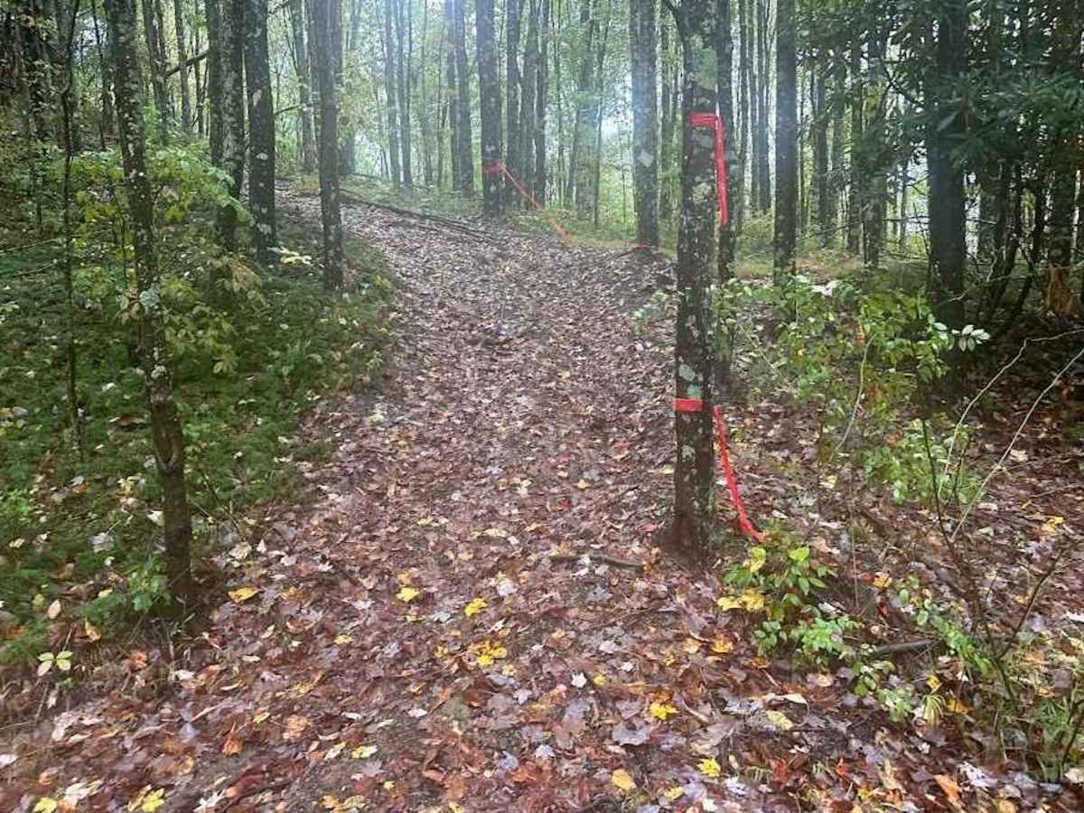 192 Single Track trail photo