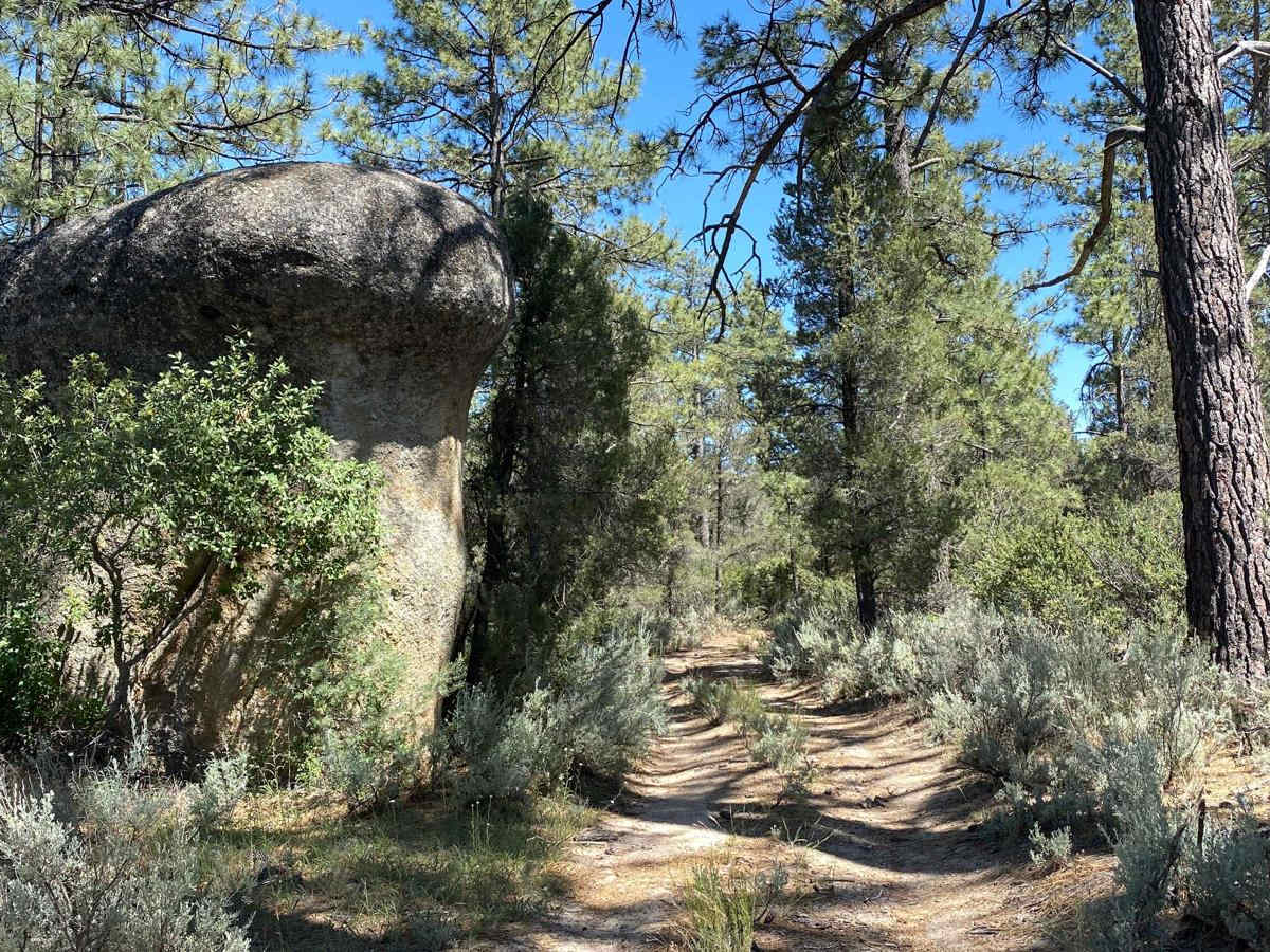 South of Laguna Hanson trail photo