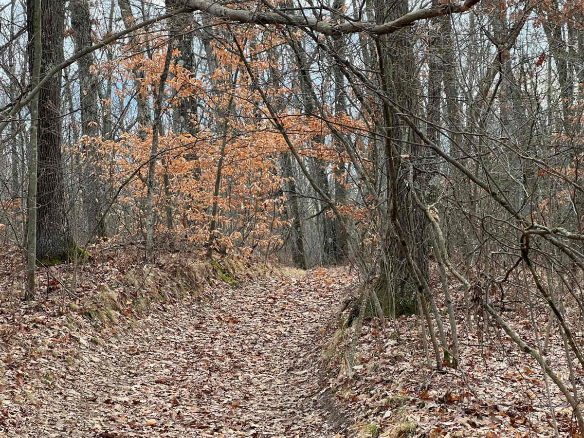 NFS 5179 photo 3