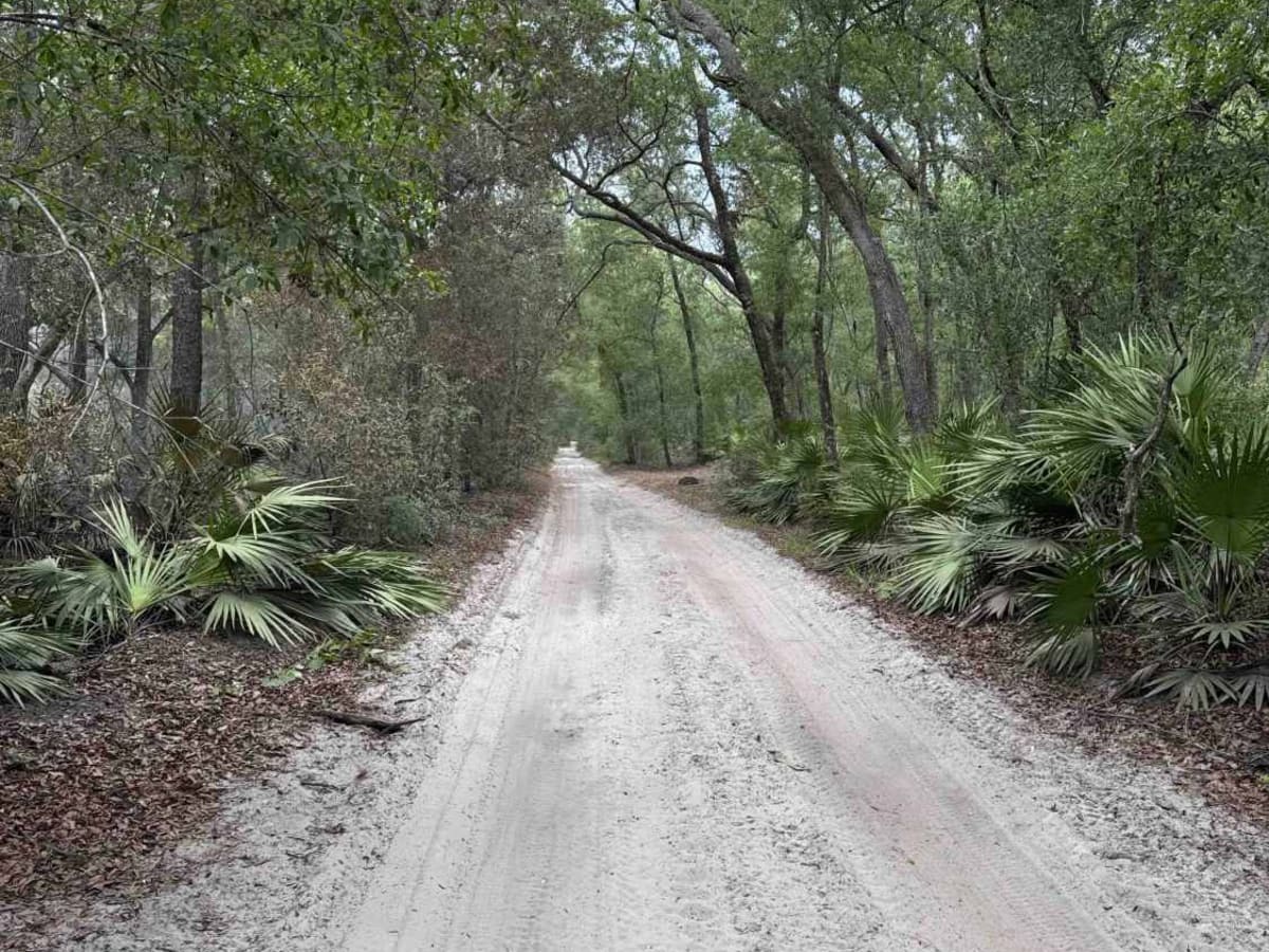Sweet Springs - ONF 77 photo 3