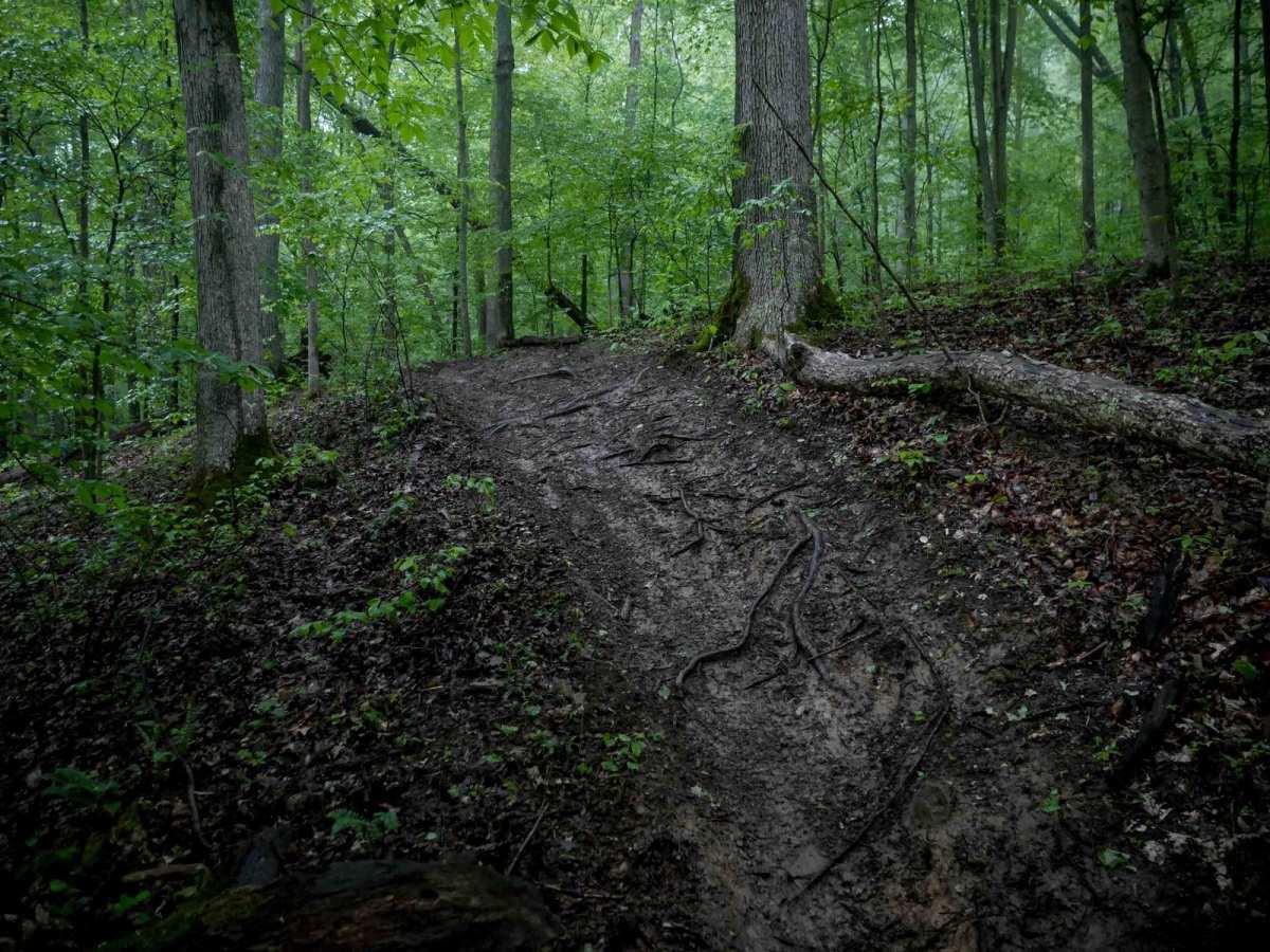 T47 trail photo