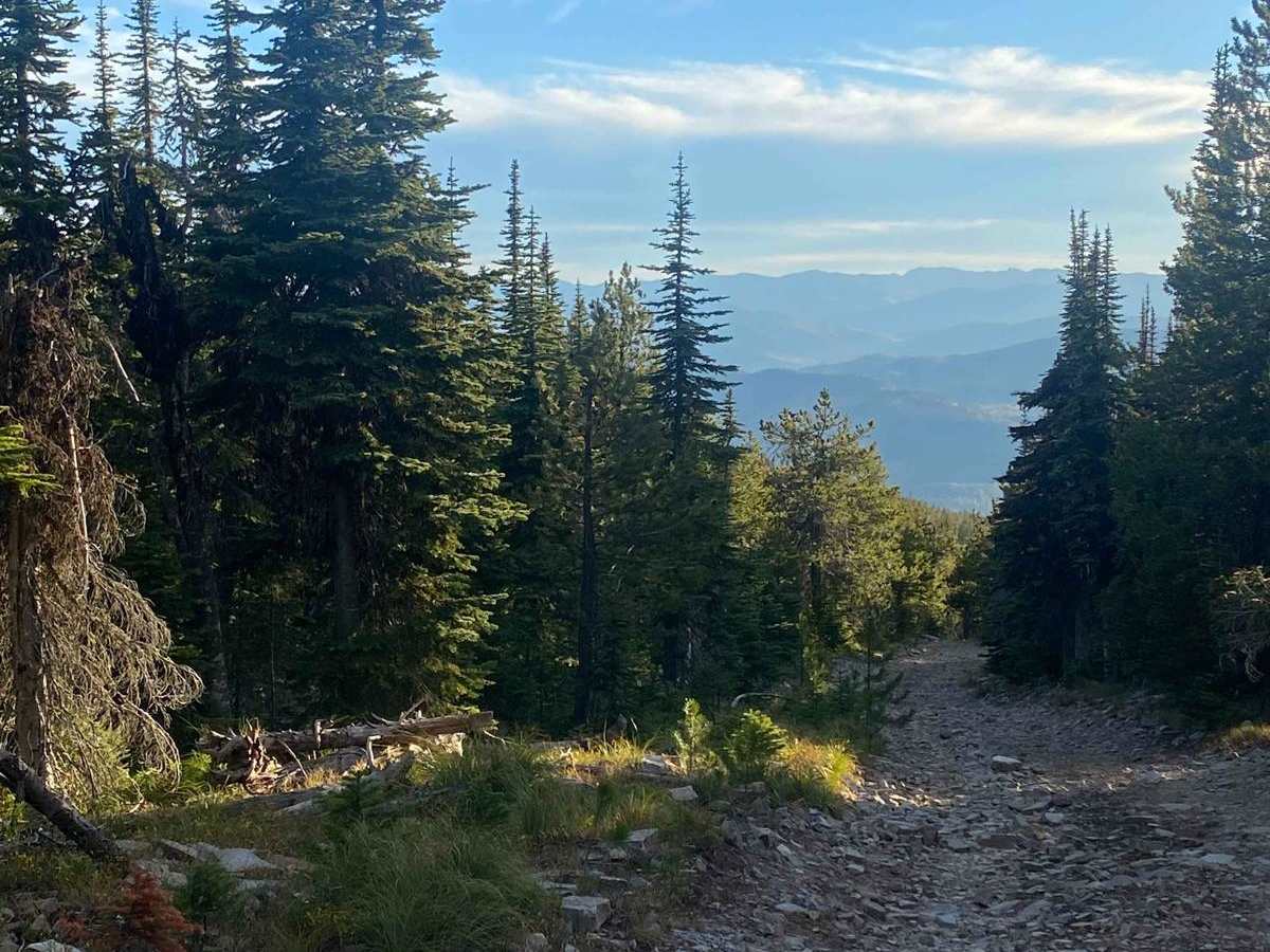 Meadow Peak Lookout photo 4