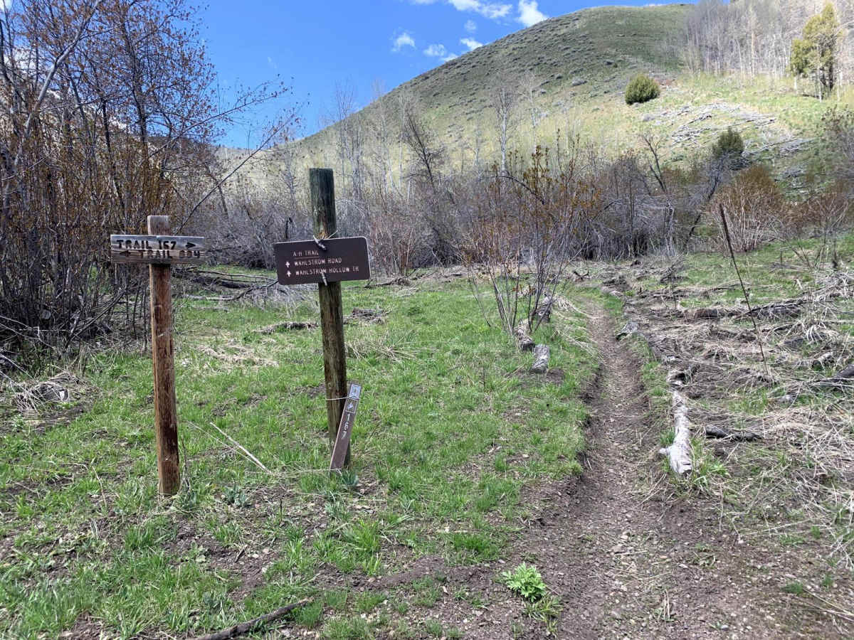 A-H Creek trail photo