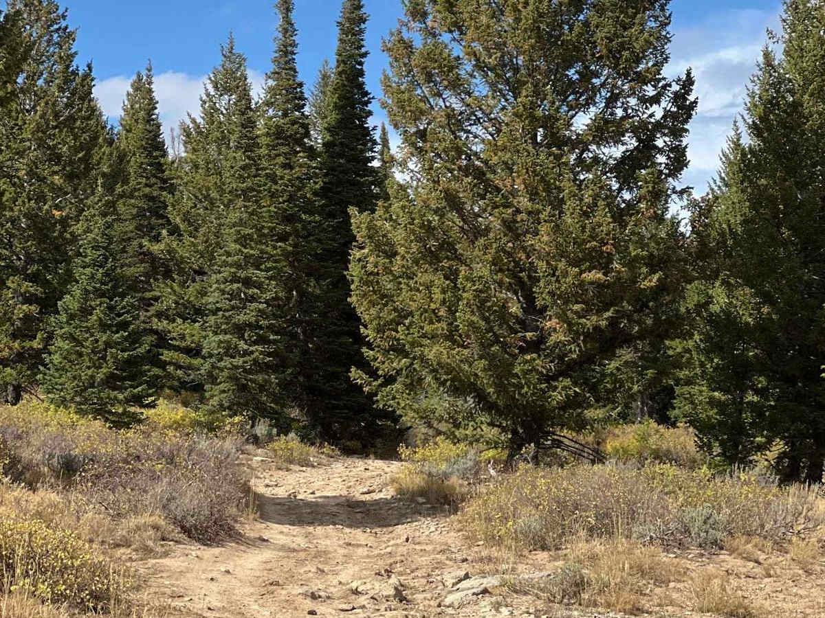 Arbs Spur photo 4