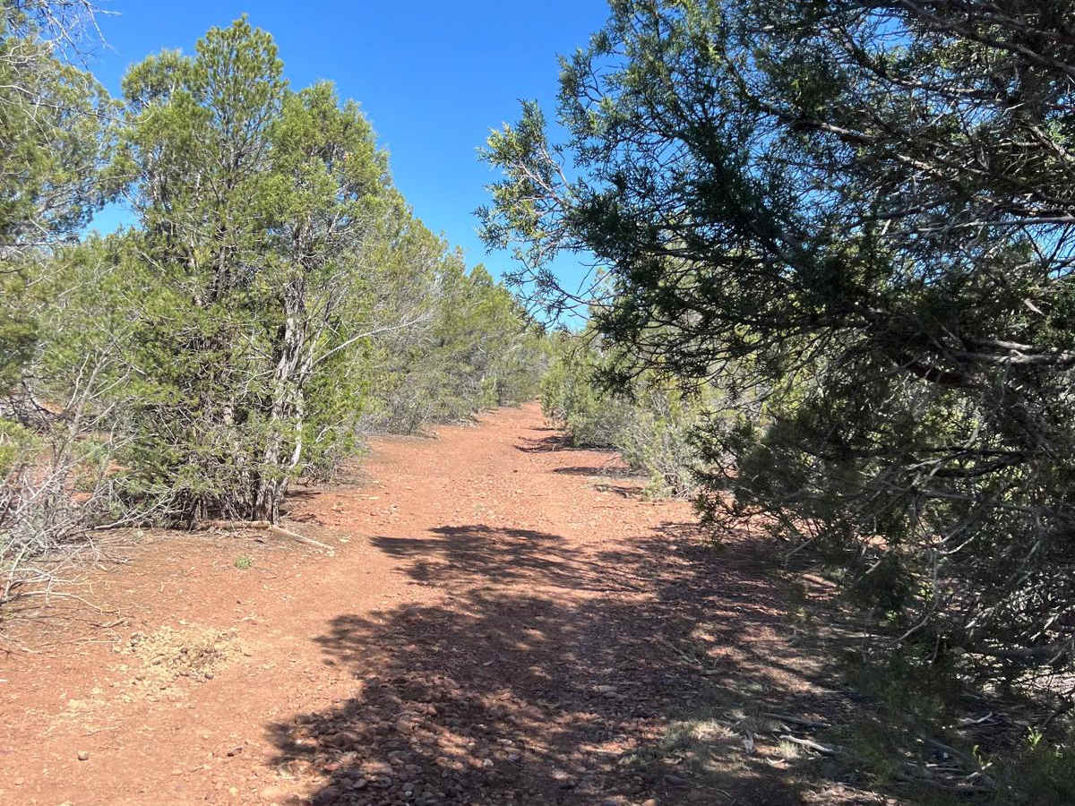 General Crook Trail photo 4