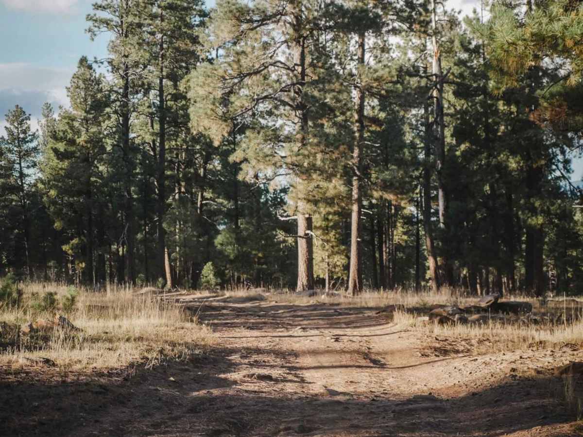 Howard's Spur photo 5