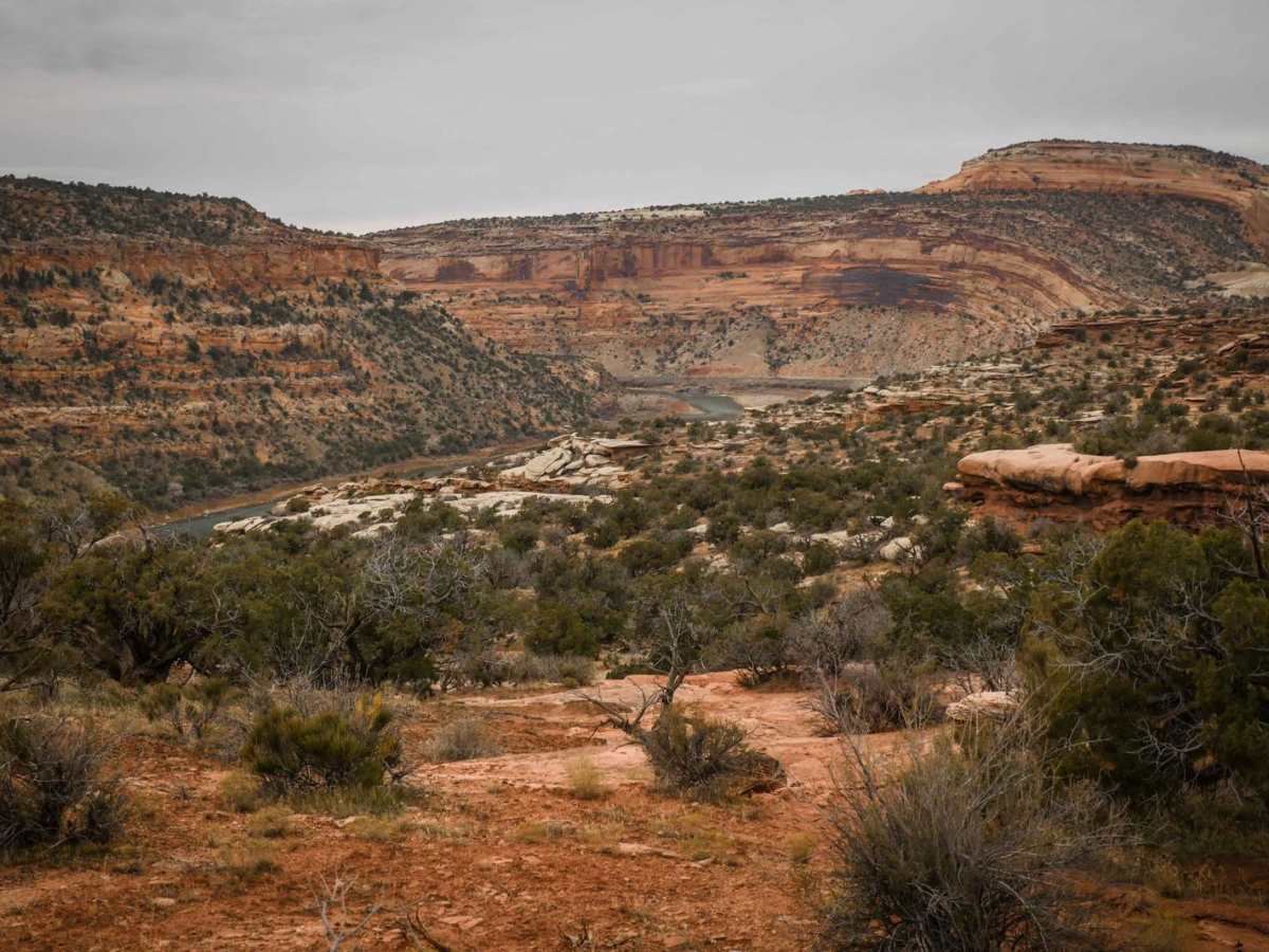 Trail 8 photo 6