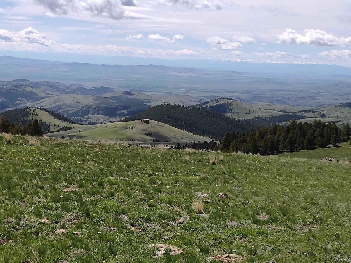 Merrel Springs trail photo