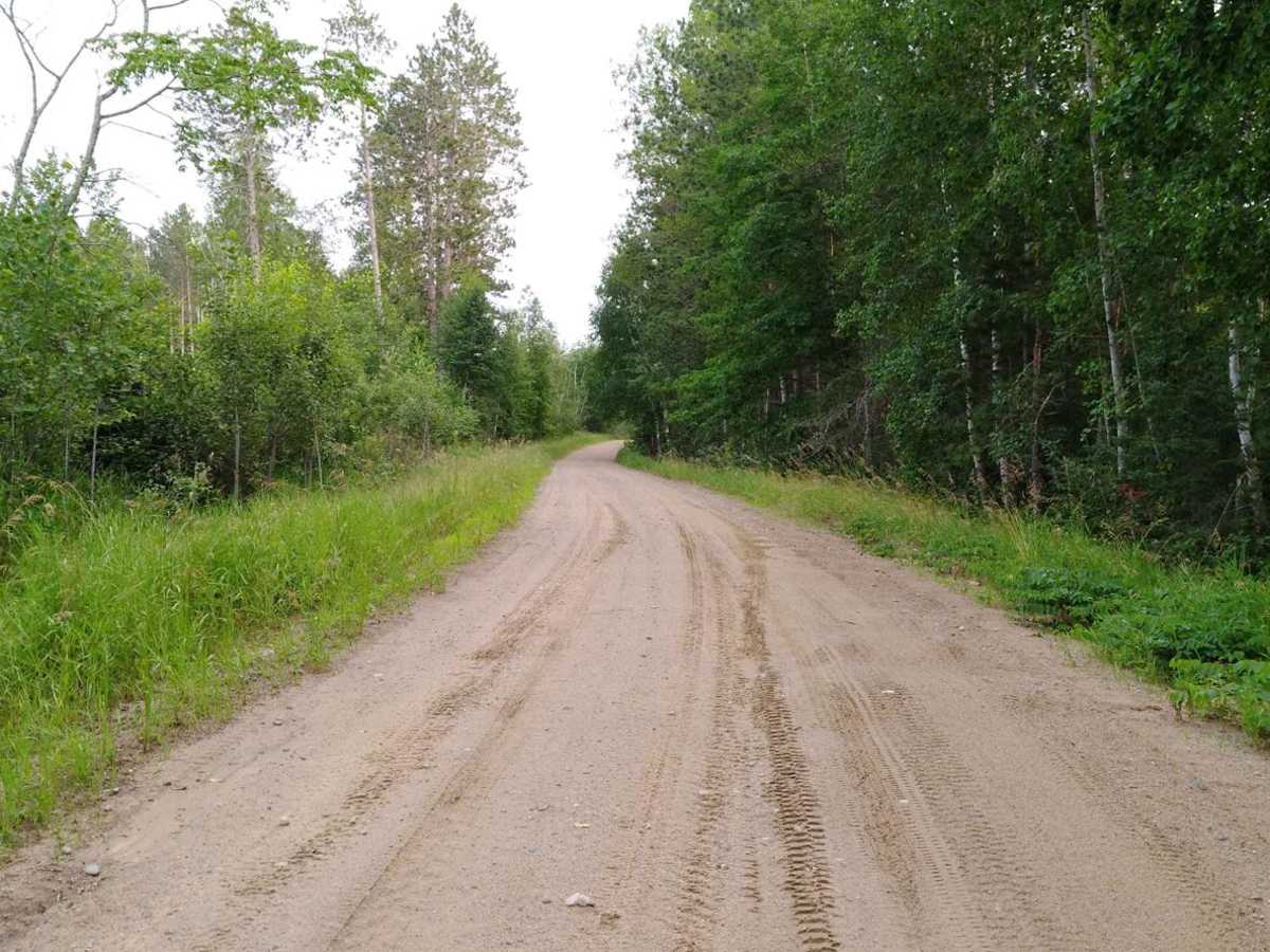 Pikus Forest Road / County Road 58 photo 2