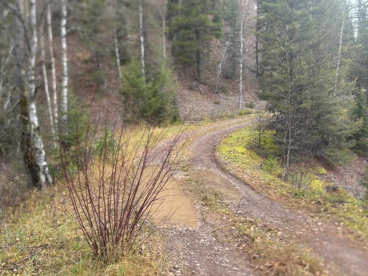 Old Highway 2 photo 2