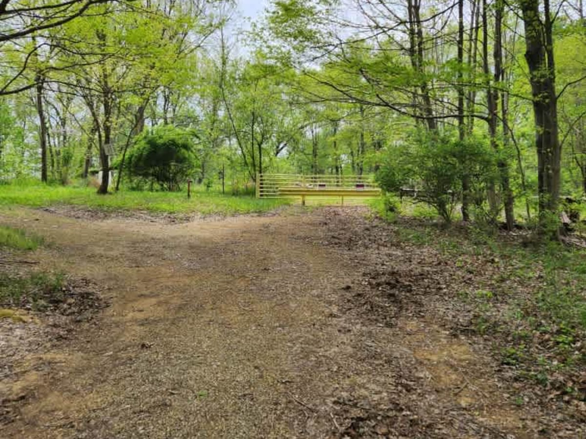 Mouth Hollow Road photo 2