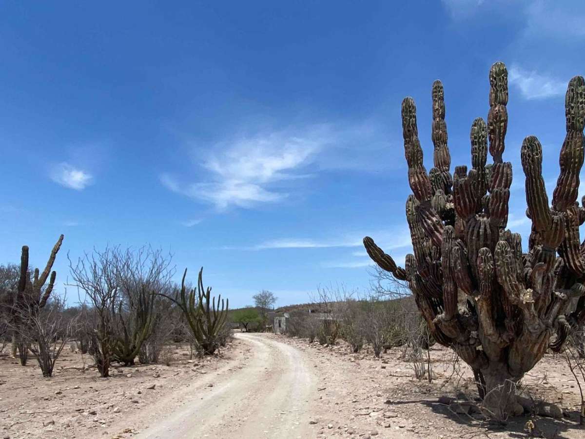 San Juan de la Cruz trail photo