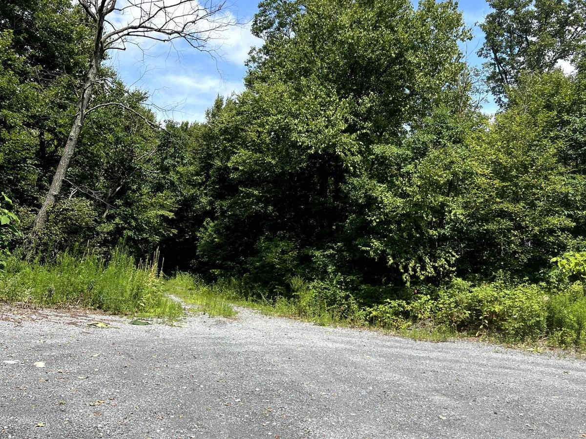 Horse Valley Ridge / Concord Road photo 5