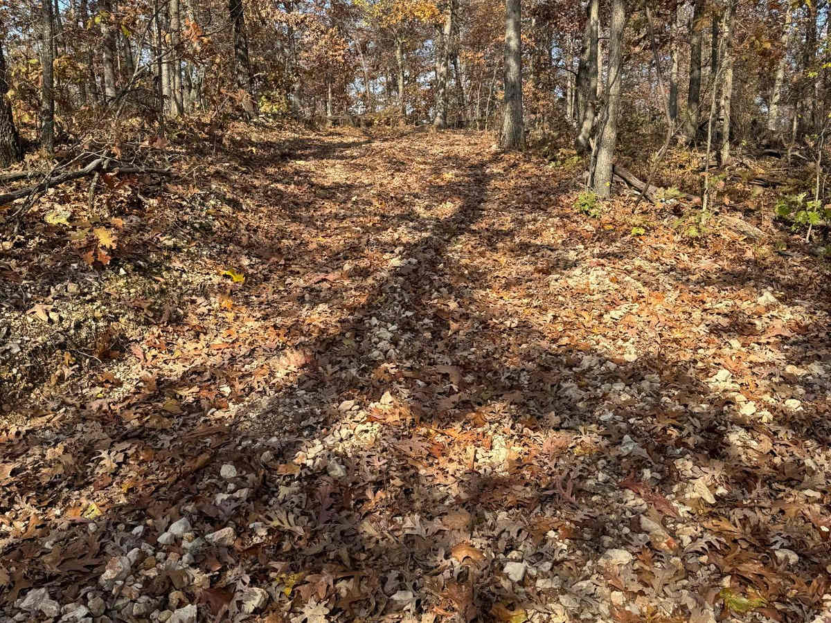 Green 196 photo 5