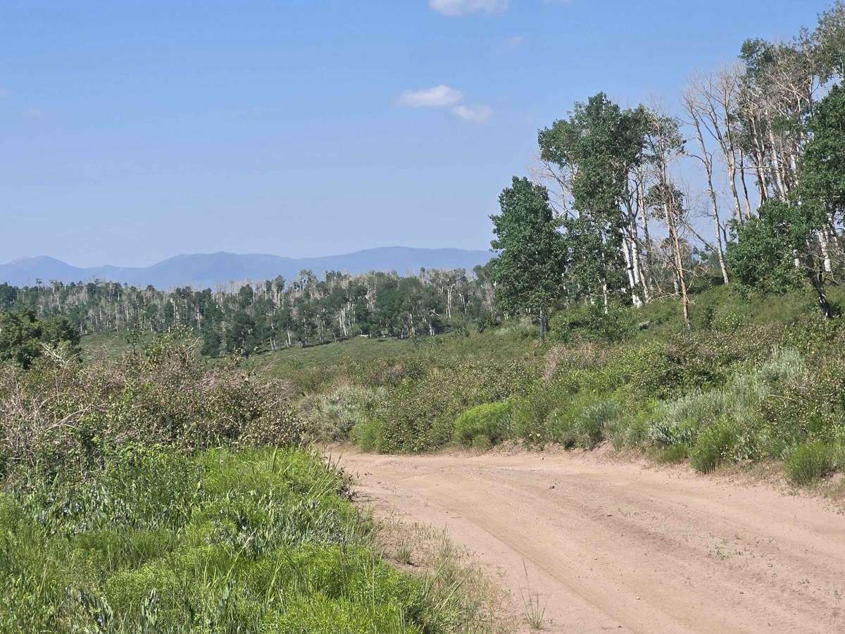 Rockwood - FSR40110 photo 4