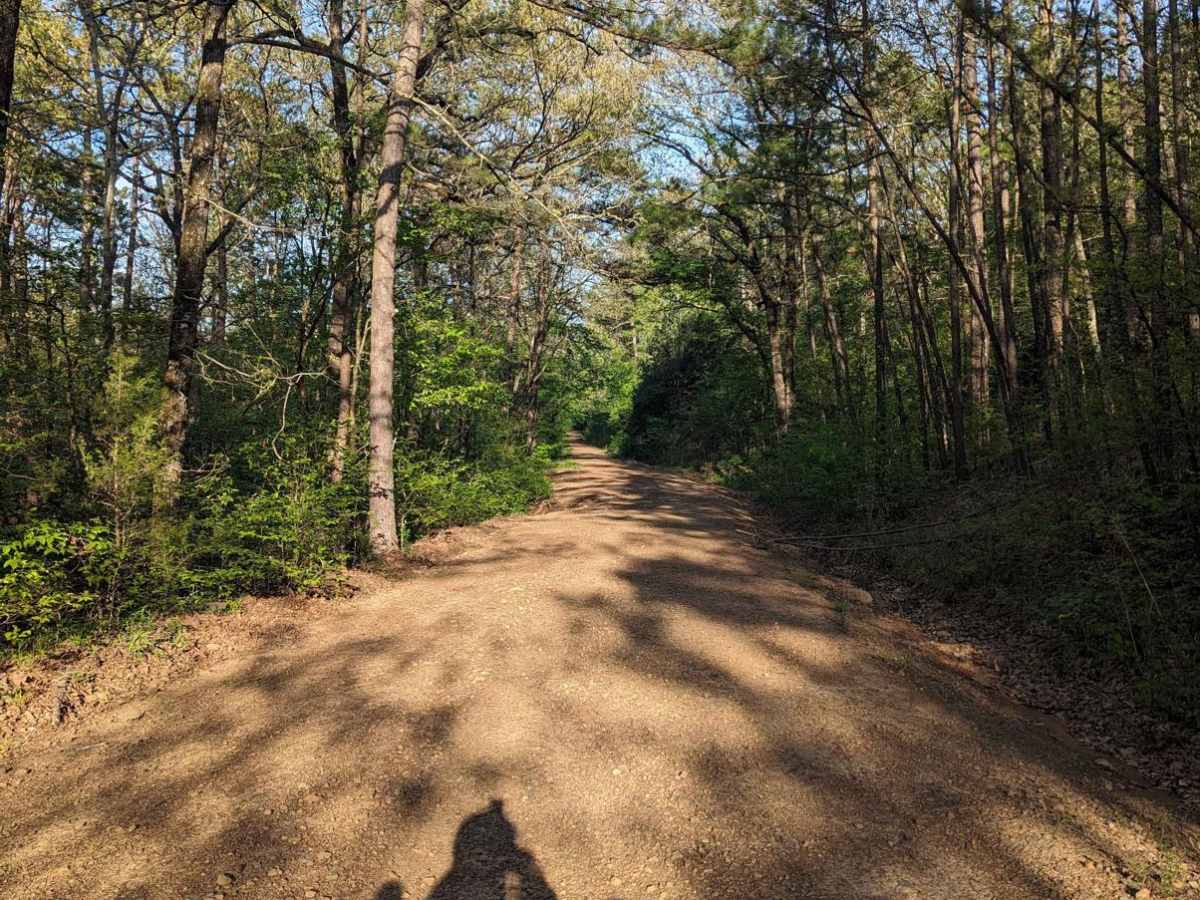 McMurtery Hollow photo 5