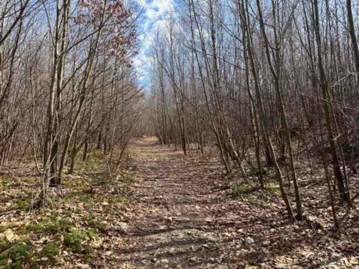 Ashland 109 photo 4