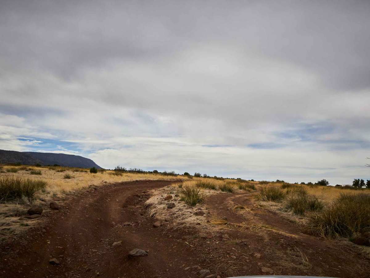 Coyote Ranch Road photo 6