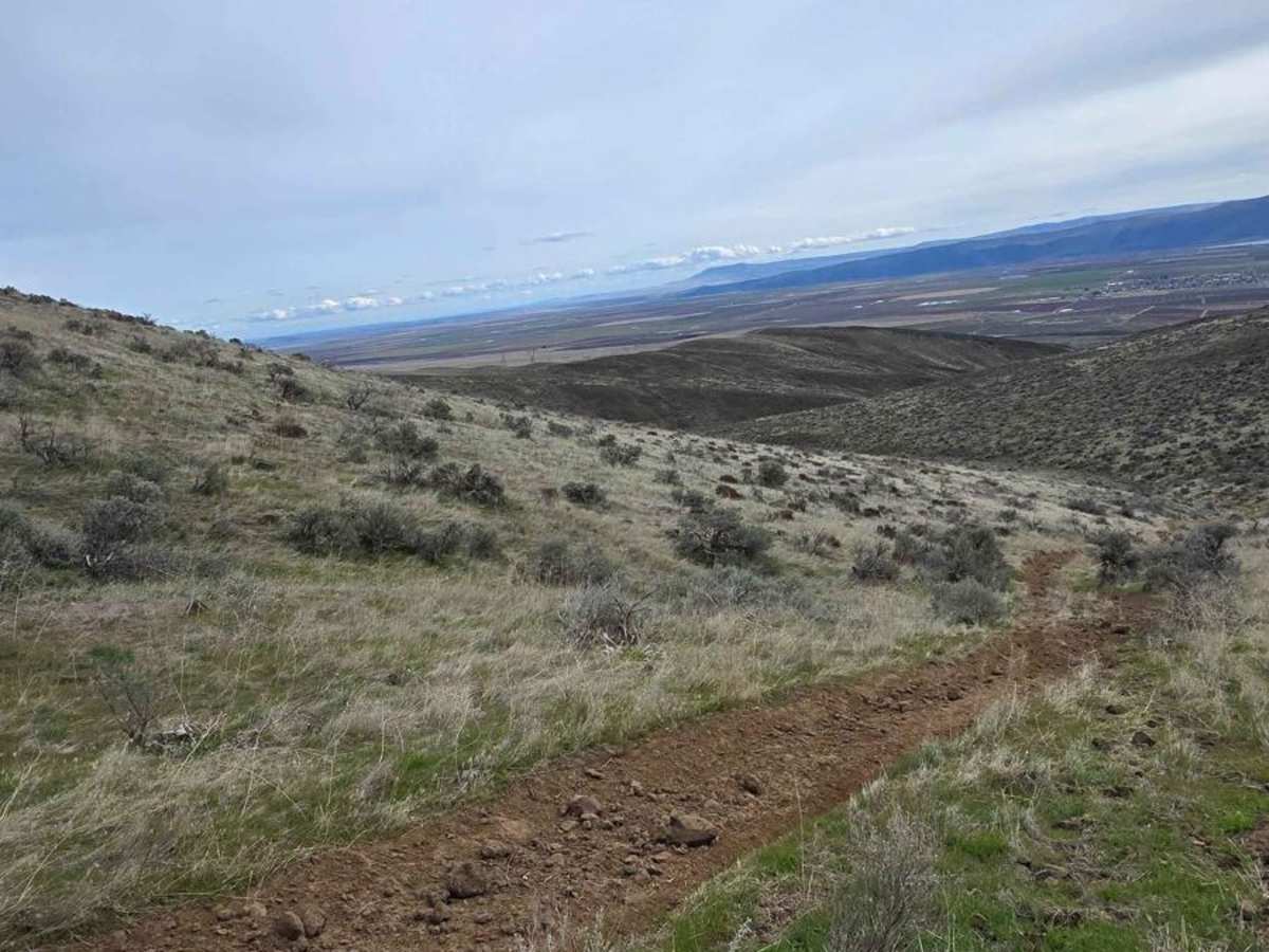 West Saddle Mountains Ridge photo 5