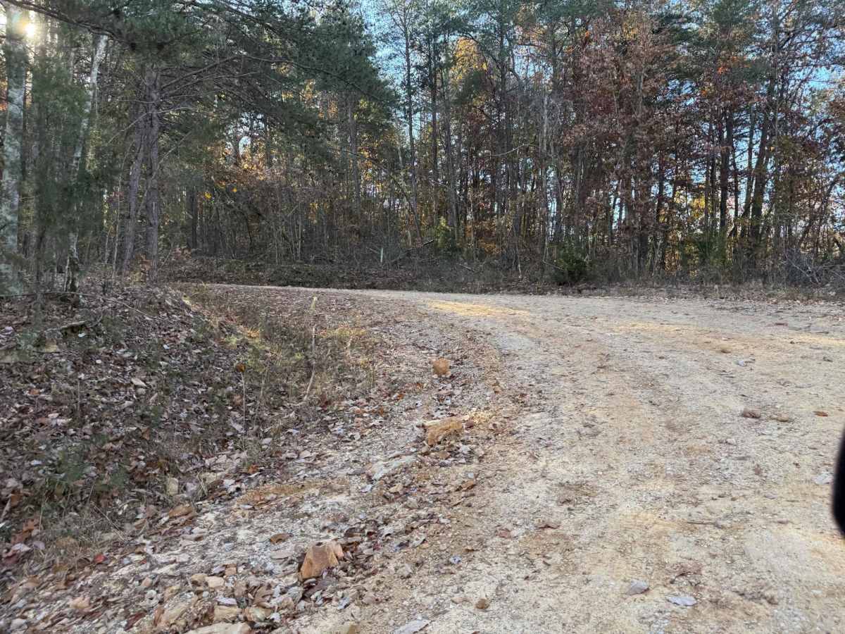 County Road 90 - FS 259 photo 2