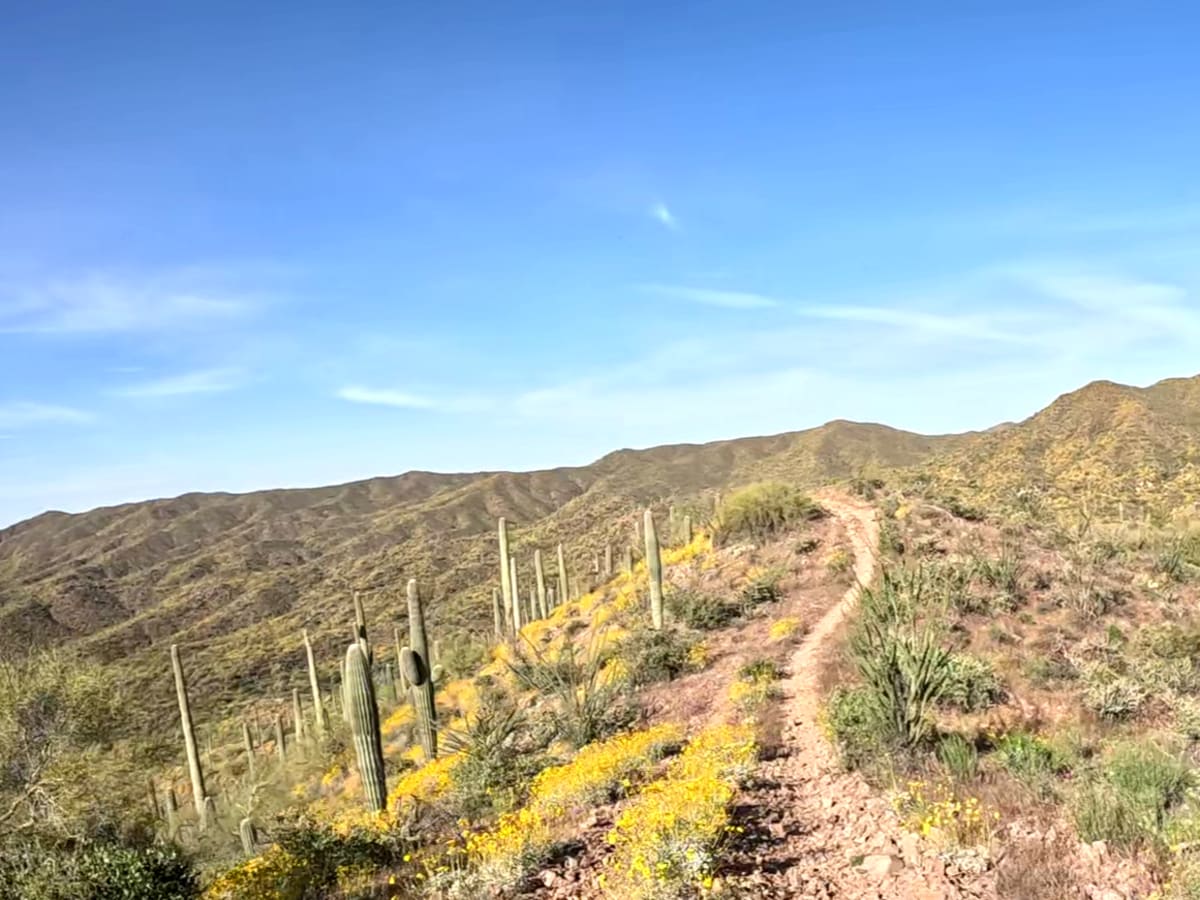 Trail 9412 photo 2