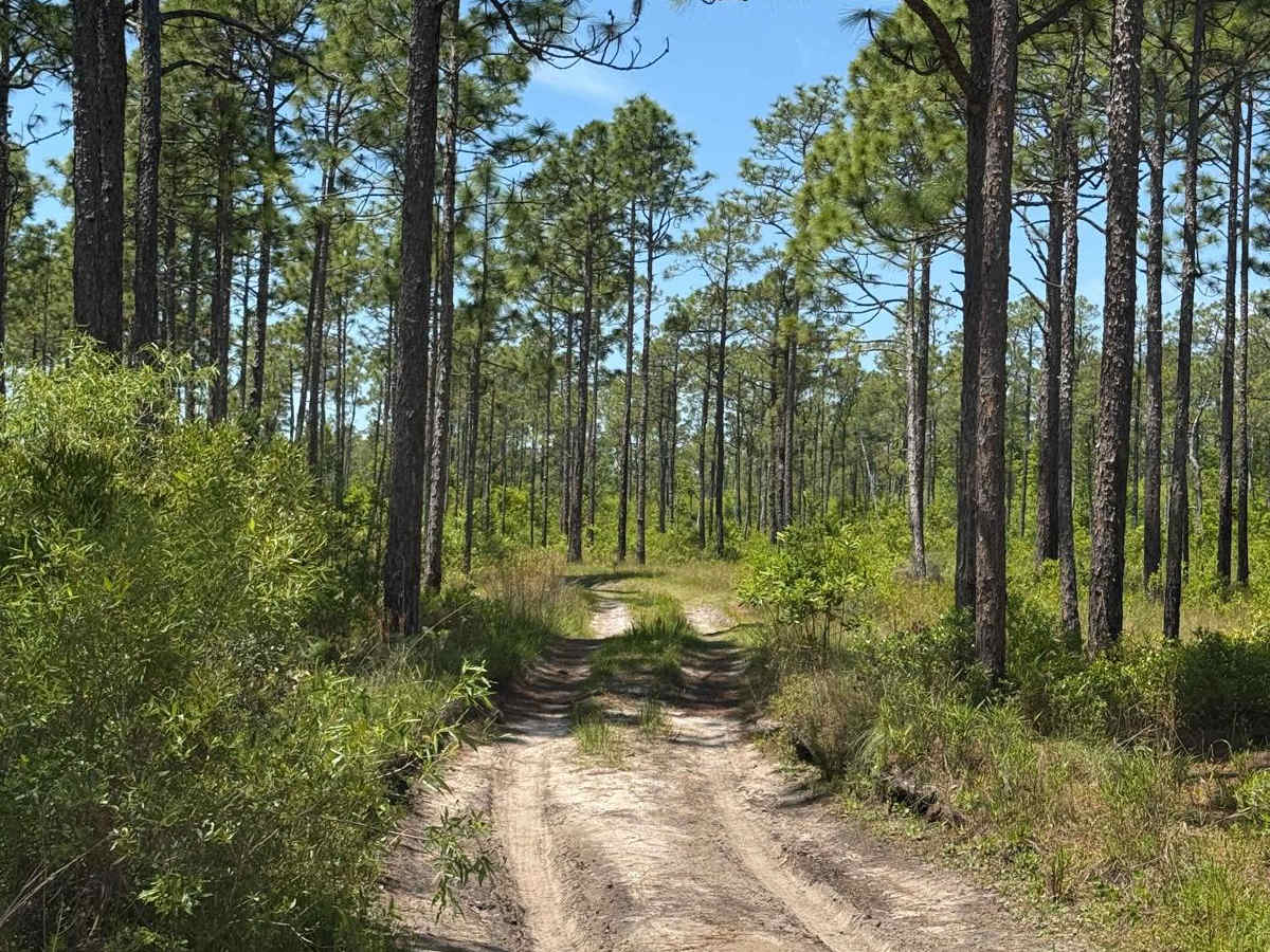 Pringle Road - FS 123 photo 4