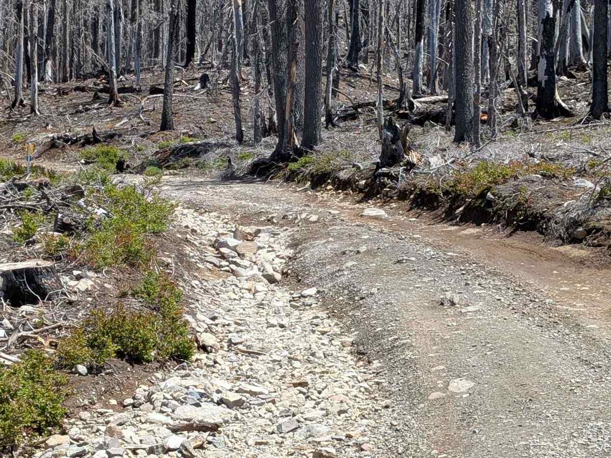 Spoon and Gibson Lakes - NF4220 trail photo