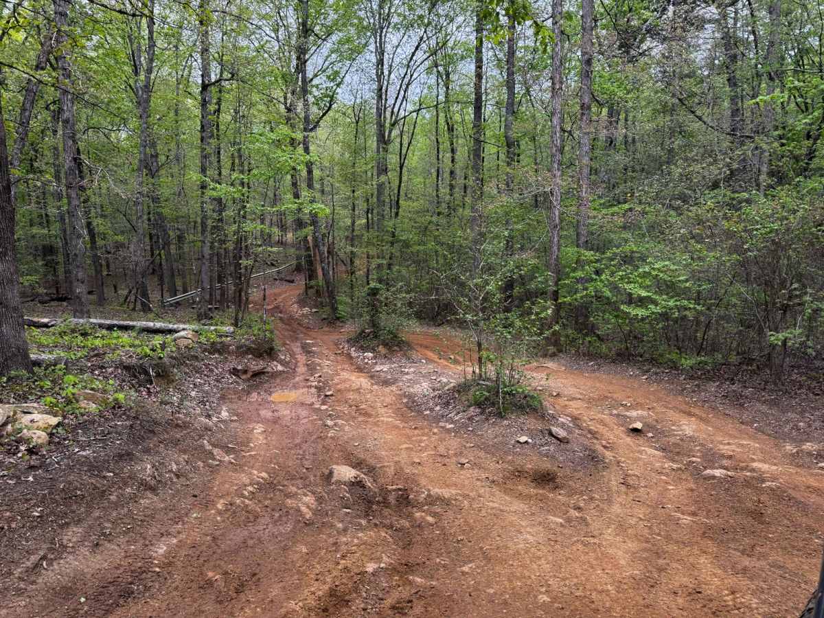 Slab Pile Trail 79 photo 4