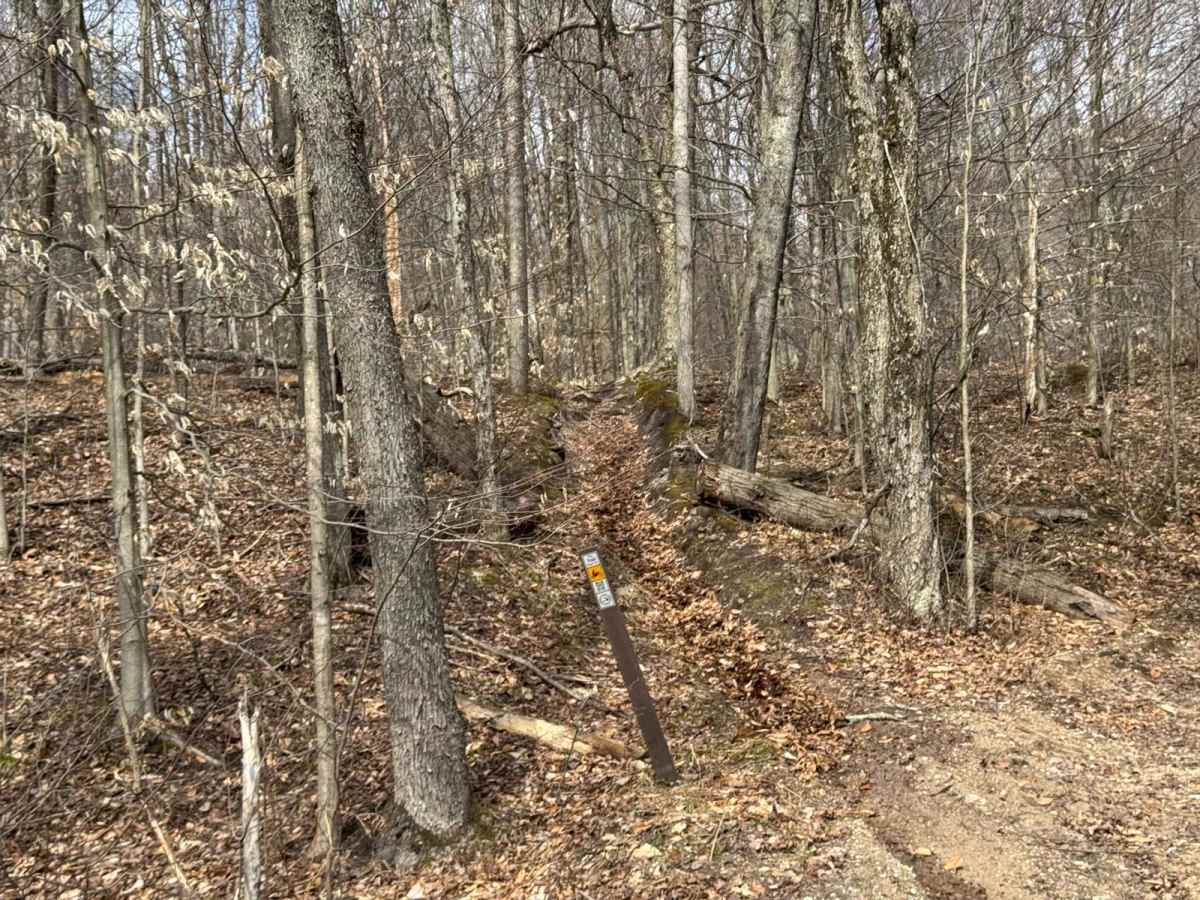 MCCCT - Lincoln Hills to Caberfae Spur photo 4