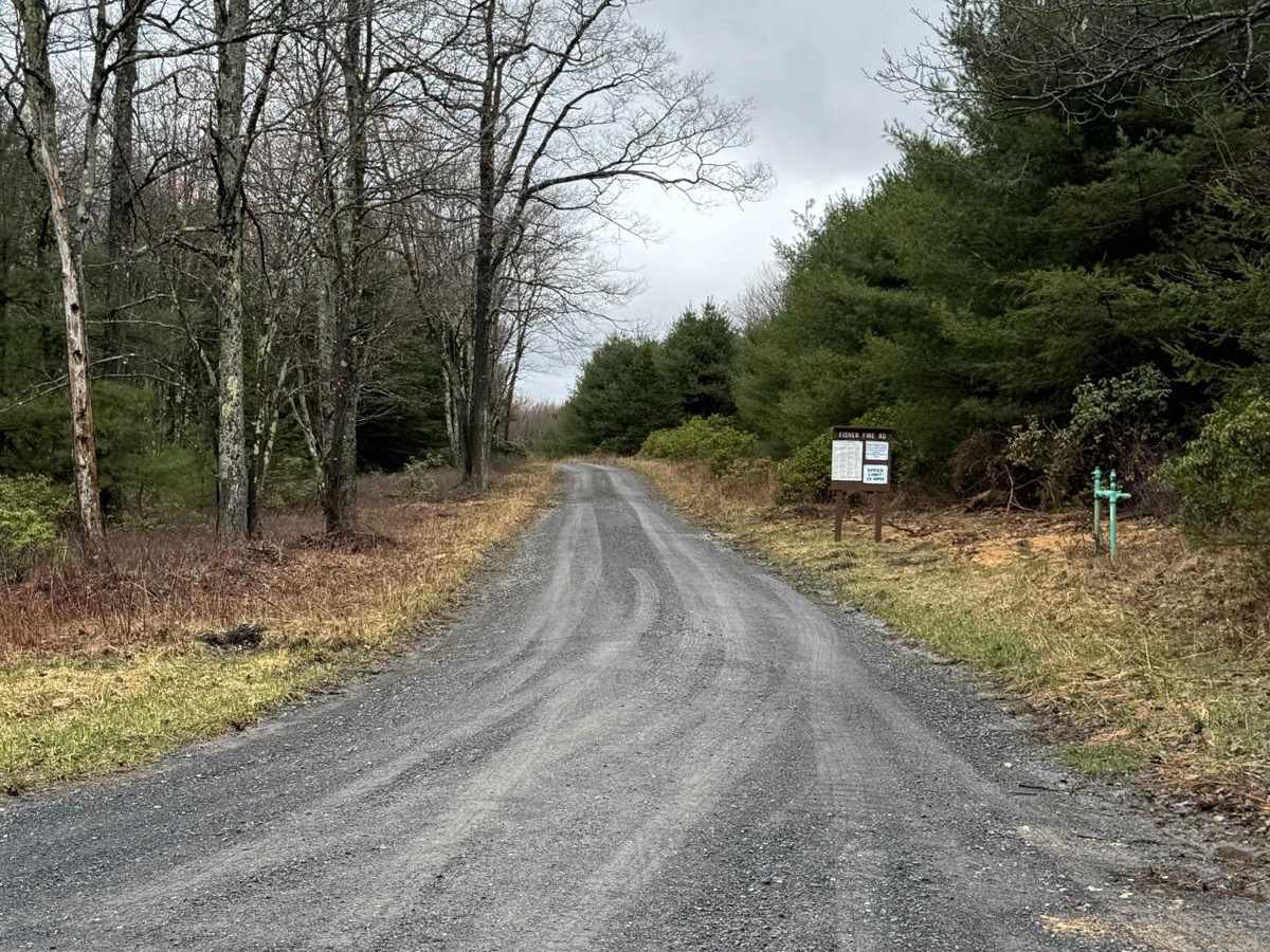 Fisher Fire Road photo 2