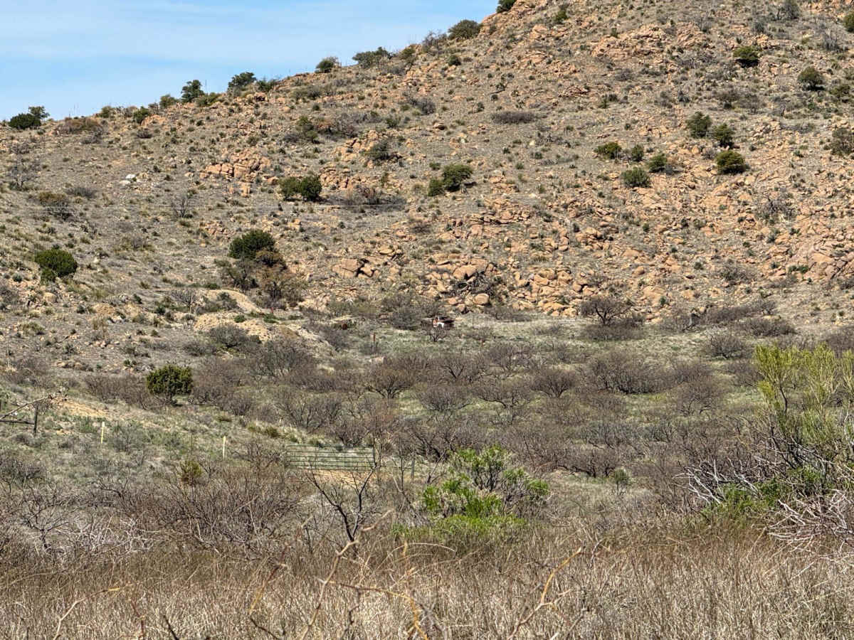 Fort Bowie Trail photo 3