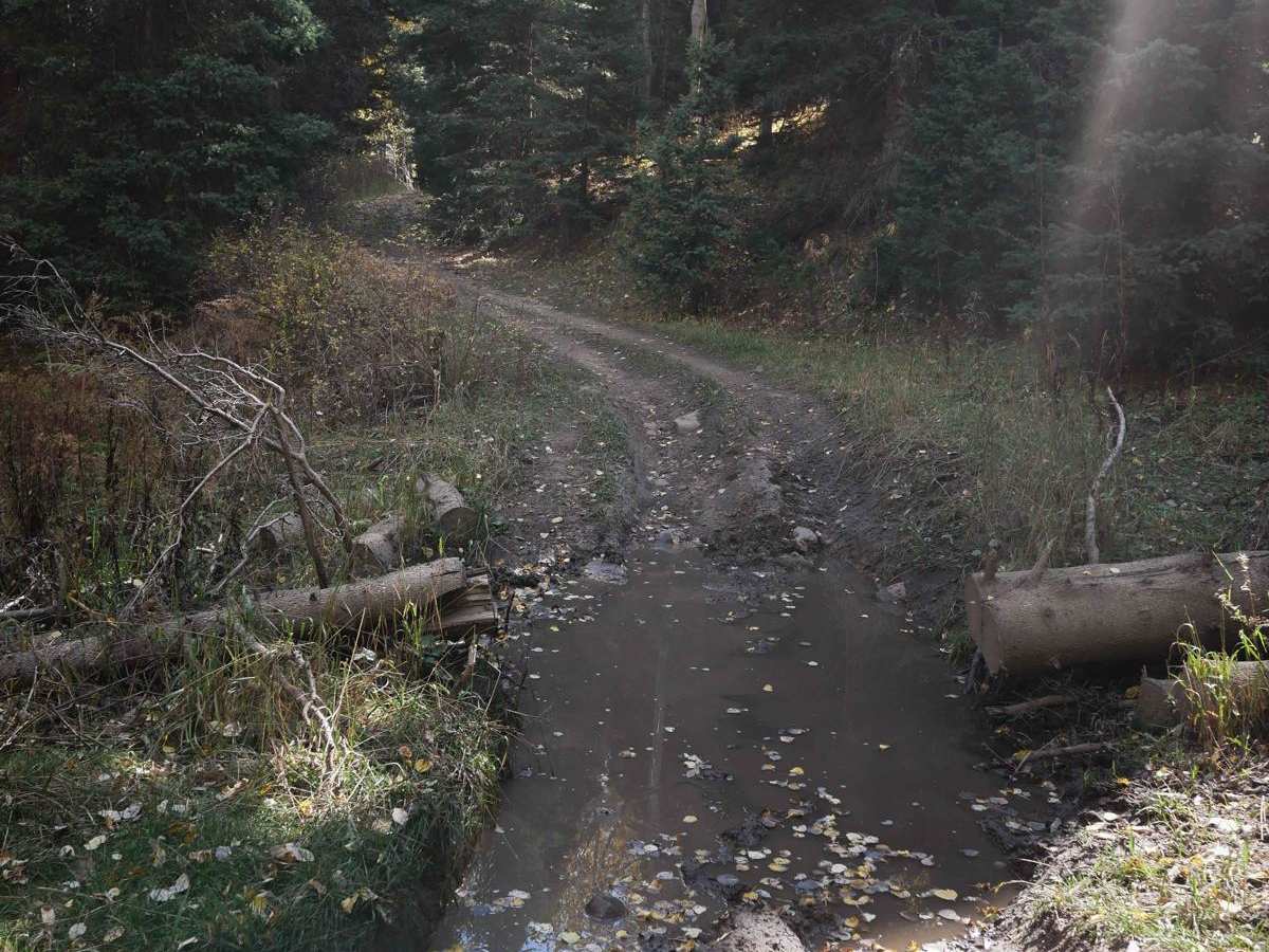 Fox Creek ATV photo 3