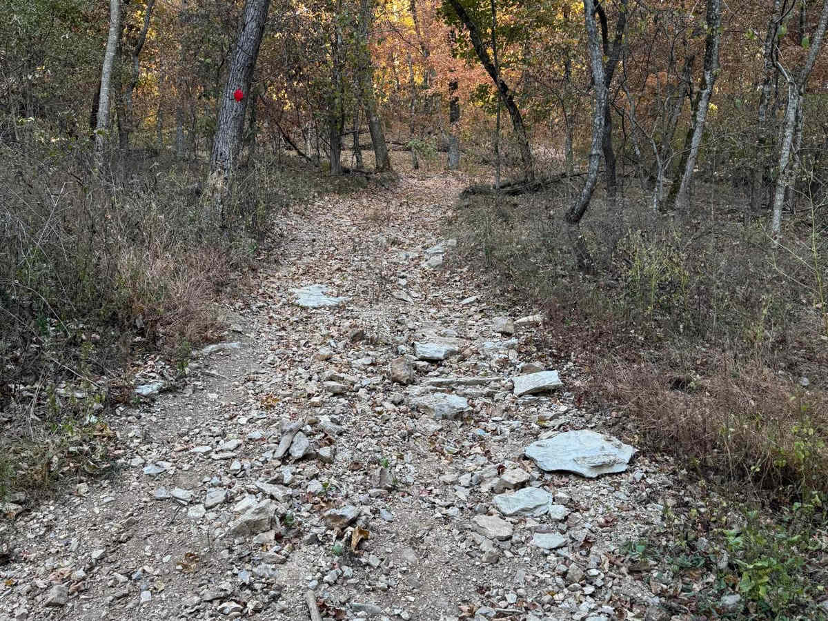 Yellow 36 trail photo