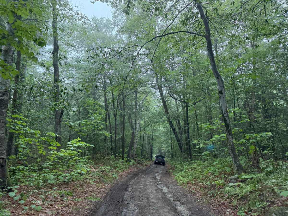 Brimstone Corner Road photo 5